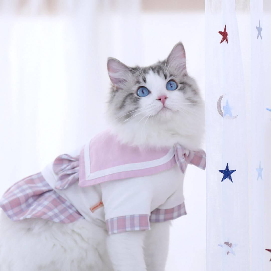 Hime Cat Dress for Cats & Kittens, Cat Clothes
