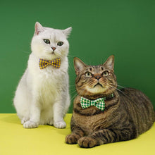 Load image into Gallery viewer, Gentlemeow Cat Bow Tie | Cats with Bow Ties | MissyMoMo
