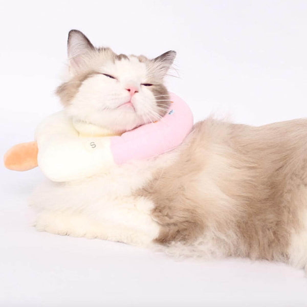 Cute Ice Pop  E Collar for Cats | MissyMoMo