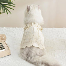 Load image into Gallery viewer, Jasmine Cat Dress | Cat in Beige Dress | Cat Clothes | MissyMoMo
