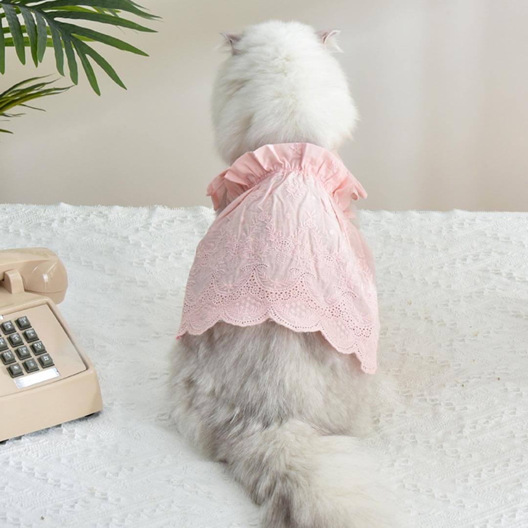 pink chicken cat dress Haute Couture Pink Rose Dress for Cats YESWARMG