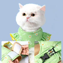 Load image into Gallery viewer, Best Cat Harness for Walking | Cat in Adjustable Cat Harness | MissyMoMo

