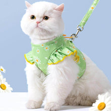 Load image into Gallery viewer, Best Cat Harness for Walking | Cat in Jasmine Cat Harness | MissyMoMo
