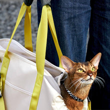 Load image into Gallery viewer, Kitty YoYo Cat Carrier | Cat Shoulder Bag | Cat Handbag | Cat Crossbody Bag | MissyMoMo
