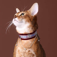 Load image into Gallery viewer, La Nuit Cat Collar | Luxurious Accessories for Cats | MissyMoMo

