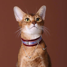 Load image into Gallery viewer, La Nuit Cat Collar | Luxurious Accessories for Cats | MissyMoMo
