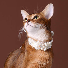Load image into Gallery viewer, La Perle Cat Collar | Luxurious Accessories for Cats | MissyMoMo

