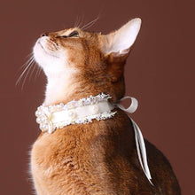 Load image into Gallery viewer, La Perle Cat Collar | Luxurious Accessories for Cats | MissyMoMo
