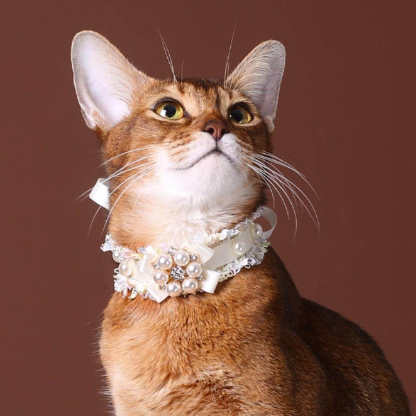 La Perle Cat Collar | Luxurious Accessories for Cats | MissyMoMo