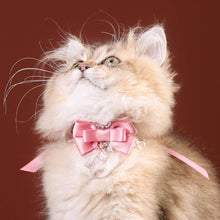 Load image into Gallery viewer, La Rose Cat Collar | Luxurious Accessories for Cats | MissyMoMo
