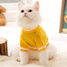 Load image into Gallery viewer, Little Bear Cat Sweater | Cat in Yellow Sweater | Cat Apparel | MissyMoMo
