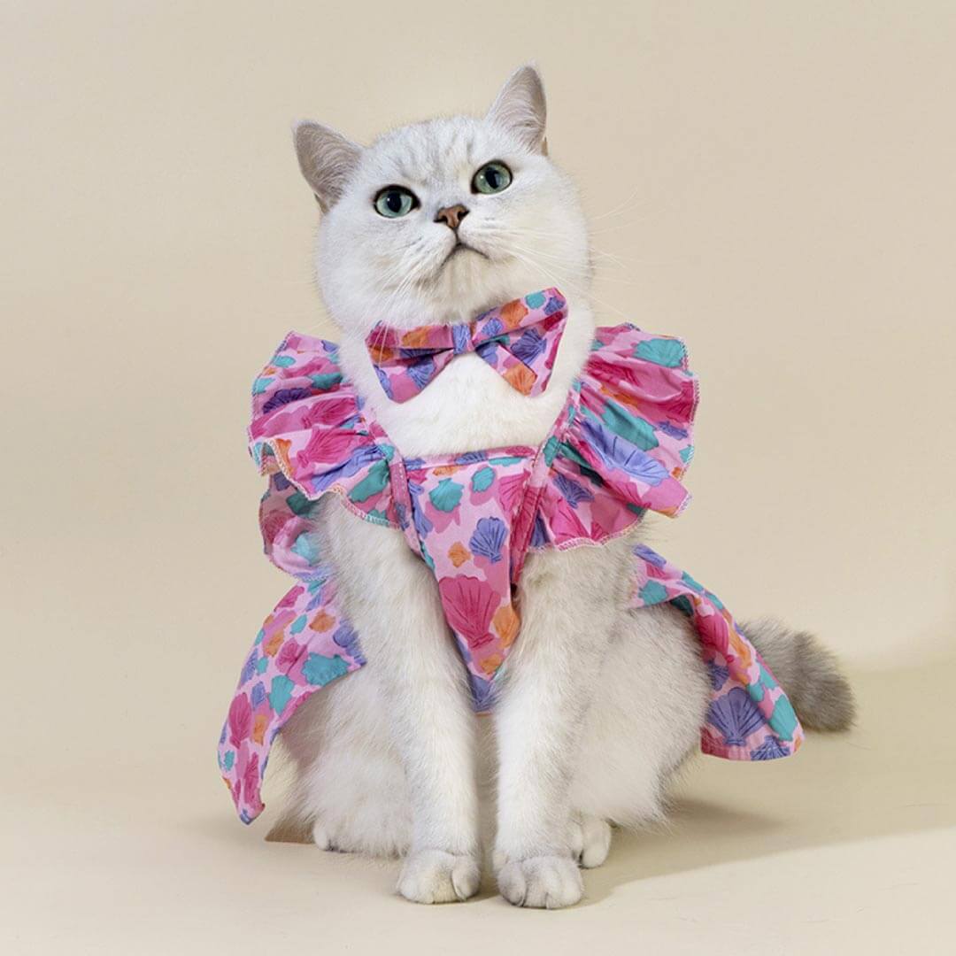 Little Princess Cat Dress & Bow Set | Cat Clothes | MissyMoMo