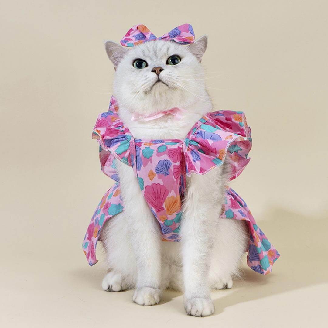 MissyMoMo Seashell Print Dress & Bow Tie Set, Dress for Cats, S, Plum MissyMoMo Seashell Print Dress & Bow Tie Set, Dress for Cats, S, Plum