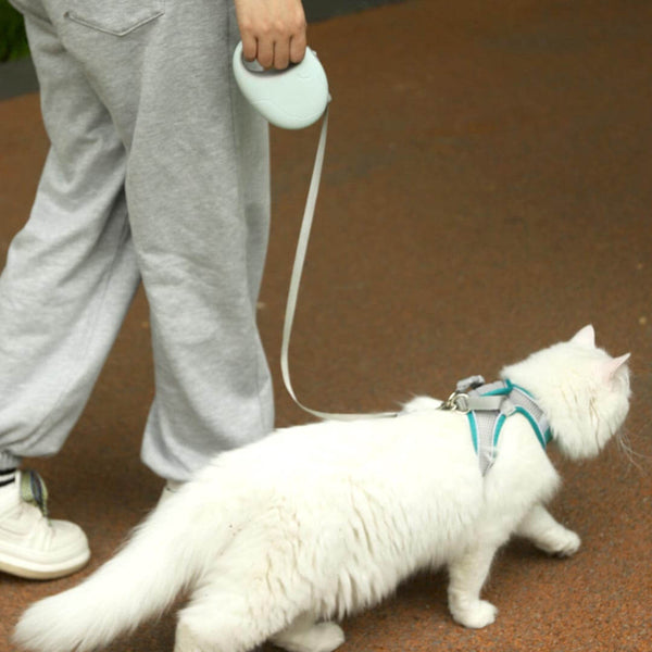 Walking Cat With Luna Retractable Cat Leash | MissyMoMo