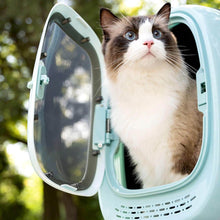 Load image into Gallery viewer, Cat Peeking Out of Light Blue MoMo Space Cat Backpack | MissyMoMo
