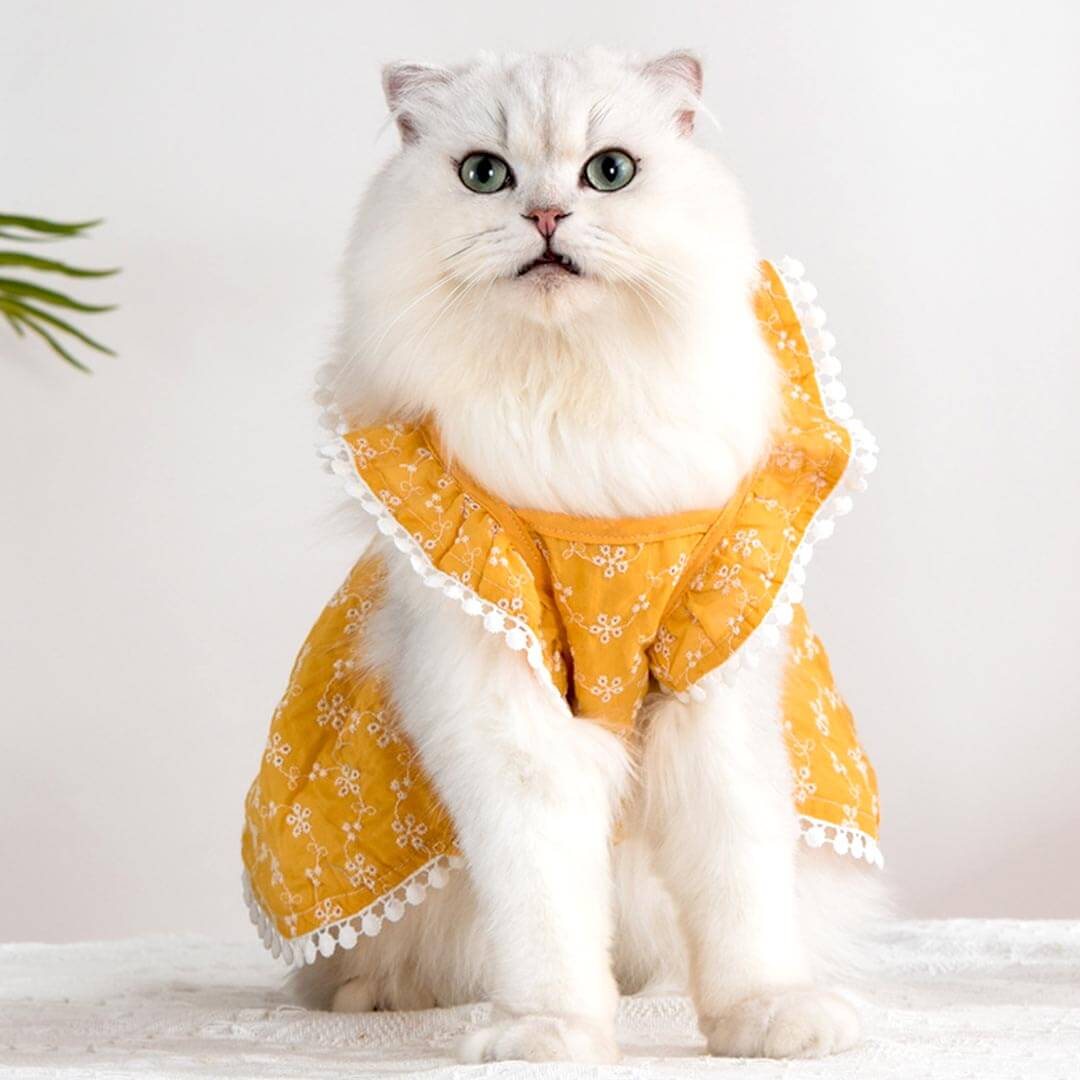 MissyMoMo Retro Floral Dress Dog & Cat Dress, Dress for Cats, M, Steel Blue MissyMoMo Retro Floral Dress Dog & Cat Dress, Dress for Cats, M, Steel Blue