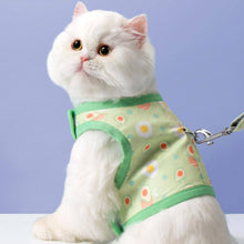 Load image into Gallery viewer, Cat Wearing Nova Cat Harness in Green | MissyMoMo
