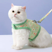 Load image into Gallery viewer, Nova Cat Harness with Leash | Cat in Leash | MissyMoMo

