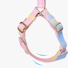 Load image into Gallery viewer, Aurora Vegan Leather Cat Harness &amp; Leash Set | Gradient Harness for Pets | MissyMoMo
