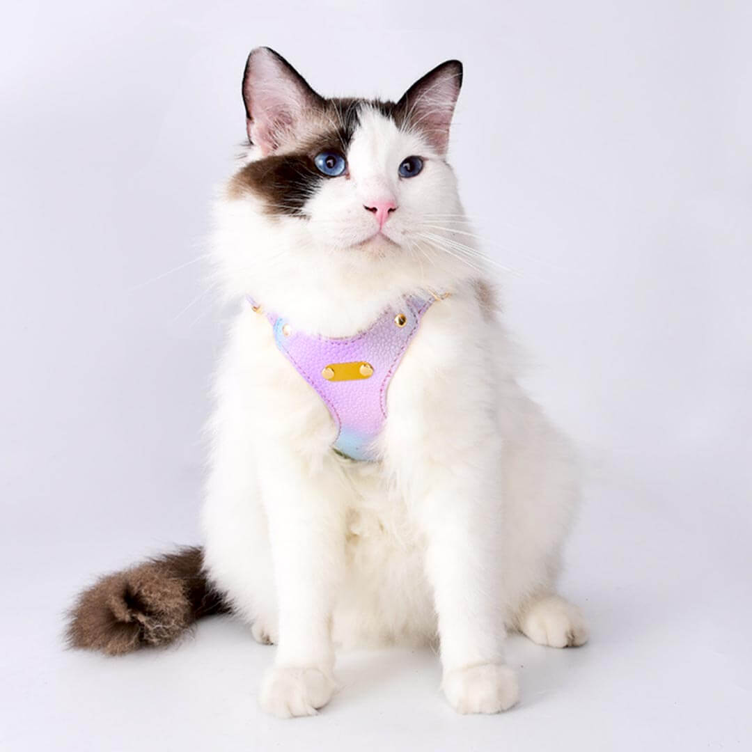 Products :: Cat Harness & Leash Set - apricot leather, choke-free