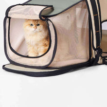 Load image into Gallery viewer, Pidan Expandable Cat Backpack | Designer Cat Carrier | MissyMoMo
