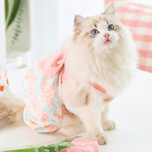 Load image into Gallery viewer, Rosy Cat Dungarees | Pink Dungarees for Cats | MissyMoMo
