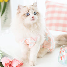 Load image into Gallery viewer, Rosy Cat Dungarees | Pink Dungarees for Cats | MissyMoMo
