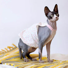 Load image into Gallery viewer, August Cat Vest | Sphynx Cat with Clothes | MissyMoMo
