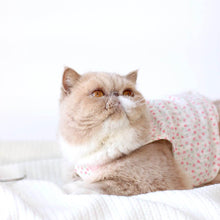 Load image into Gallery viewer, August Cat Vest | Cat with Clothes | MissyMoMo
