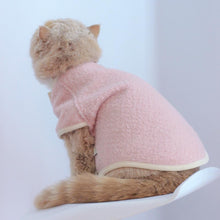 Load image into Gallery viewer, MoMo Cat Vest | Cat with Clothes | MissyMoMo

