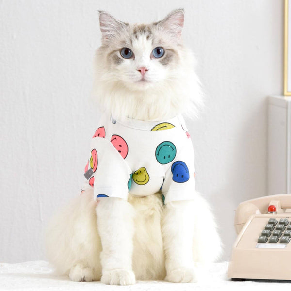 Sunny Cat T-Shirt | Cat in T-Shirt | MissyMoMo