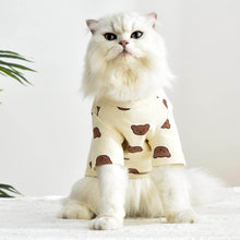 Load image into Gallery viewer, Teddy Cat T-Shirt | Cat in T-Shirt | Cat Clothes | MissyMoMo
