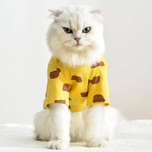 Load image into Gallery viewer, Teddy Cat T-Shirt | Cat in T-Shirt | Cat Clothes | MissyMoMo
