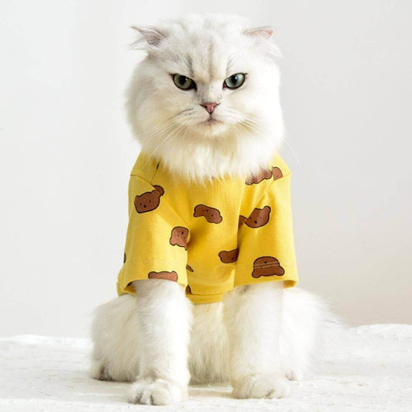 Teddy Cat T-Shirt | Cat in T-Shirt | Cat Clothes | MissyMoMo