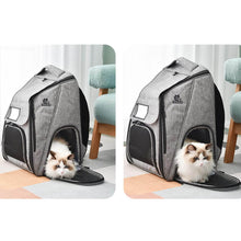 Load image into Gallery viewer, Urban Wanderer Cat Backpack for Carrying Cat | Cat in Backpack | MissyMoMo
