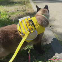 Load and play video in Gallery viewer, Best Harness and Leash for Cats | Cat in Honeybee Harness | MissyMoMo
