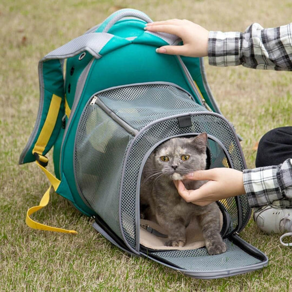 AvoCat Expandable Cat Backpack | Pet Carrier Backpack | MissyMoMo