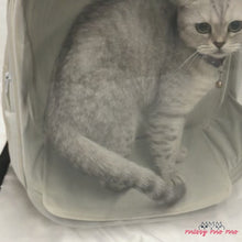 Load and play video in Gallery viewer, Wulee  Cat Backpack | Clear Cat Travel Carrier | MissyMoMo
