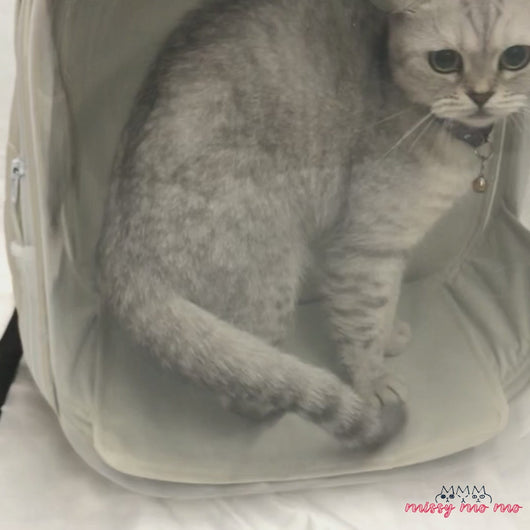 Wulee  Cat Backpack | Clear Cat Travel Carrier | MissyMoMo
