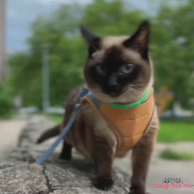 Load and play video in Gallery viewer, Mochi Escape-Proof Cat Harness and Leash for Walking | Cat in Harness | MissyMoMo
