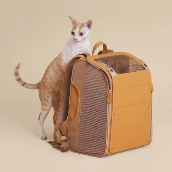 Floof Voyager Cat Backpack | Cat with Backpack for Carrying Cat | MissyMoMo