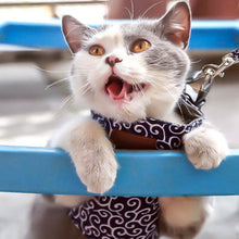Load image into Gallery viewer, Cat in Blue Harness | Fuku Cat Harness and Leash | MissyMoMo
