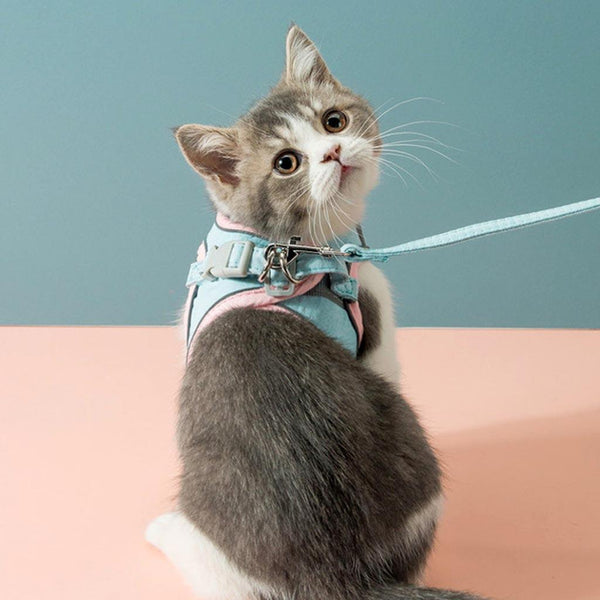 Cat Wearing Mochi Cat Harness | MissyMoMo