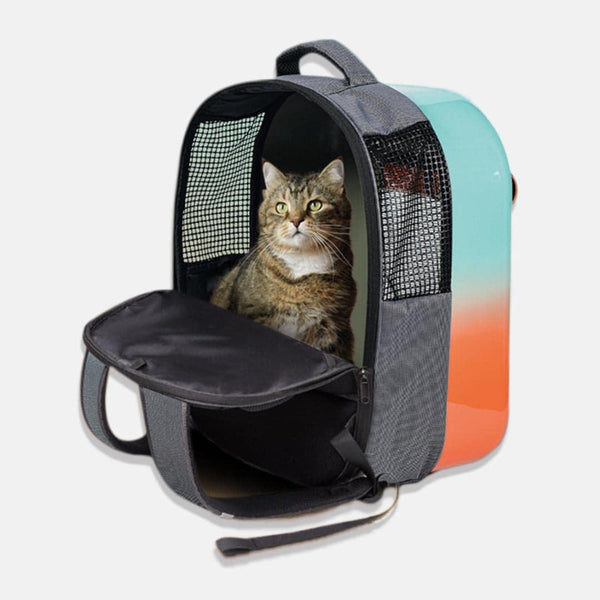 Petseek Gradient Cat Backpack | Hard Cat Travel Carrier | MissyMoMo
