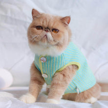 Load image into Gallery viewer, Catsby Cat Vest | Cat with Clothes | MissyMoMo
