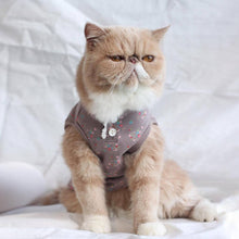 Load image into Gallery viewer, Daisy Cat Vest | Cat with Clothes | MissyMoMo 
