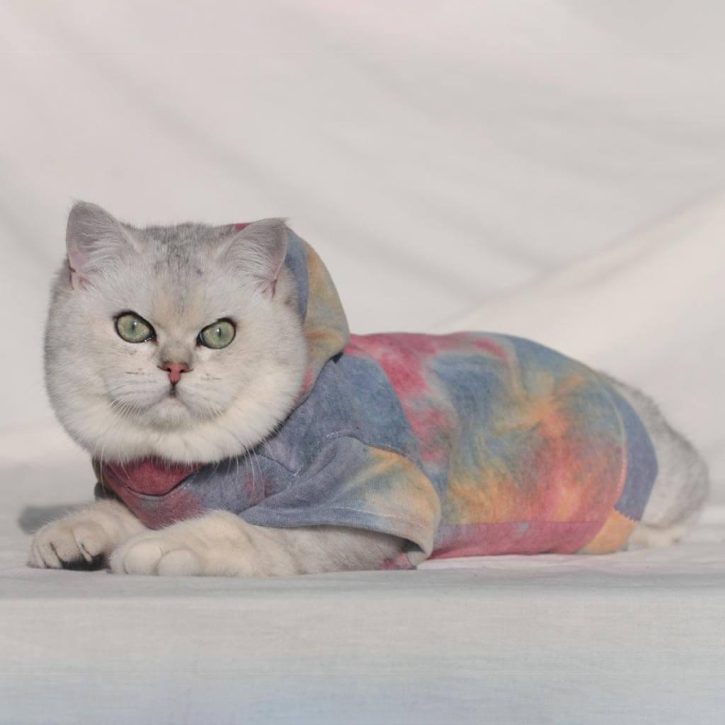 Hypurr Tie Dye Cat Hoodie II | Cat with Clothes | MissyMoMo