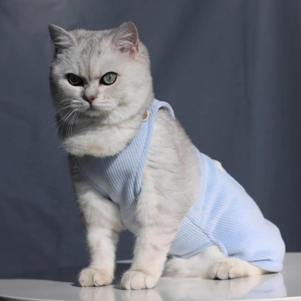 Neko Cat Dungarees | Cat with Clothes | MissyMoMo